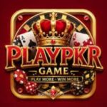 PlayPkr Game