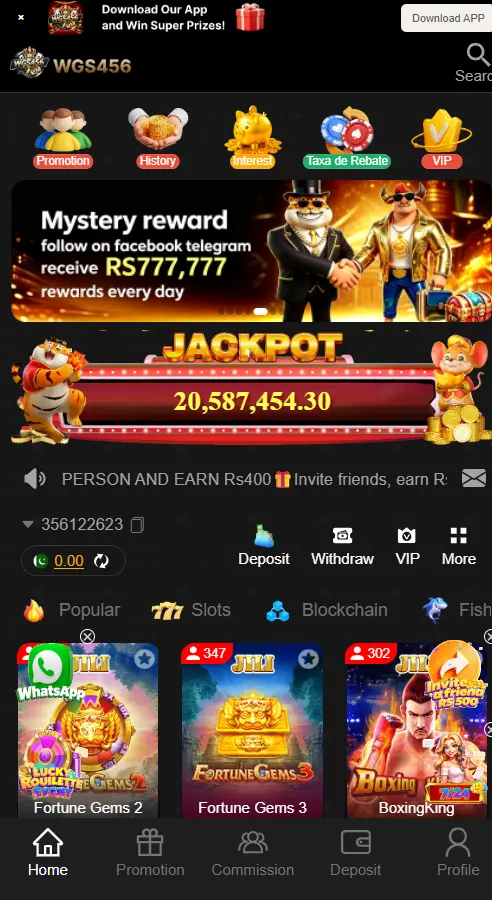 WGS456 Game App Pakistan